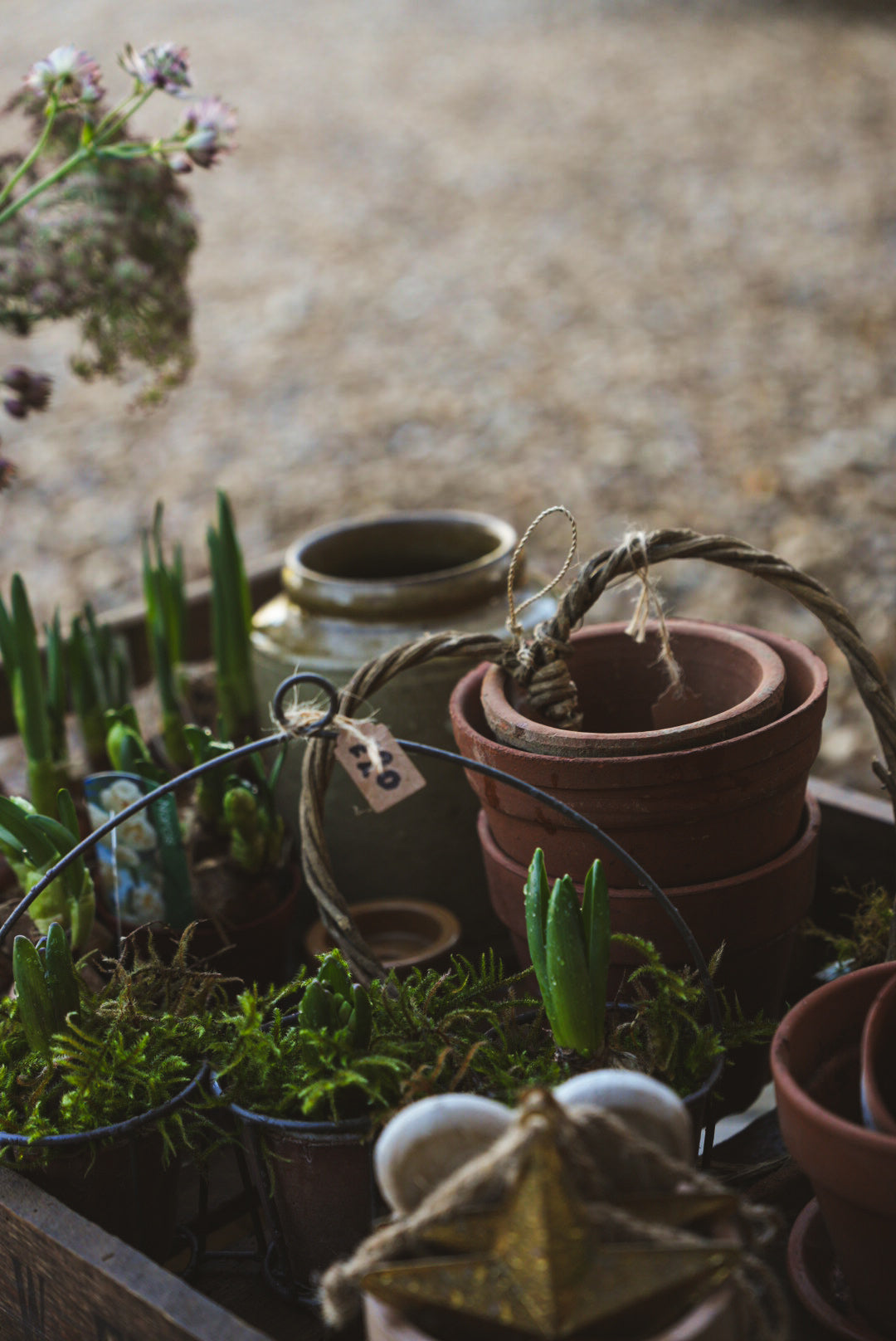 The Gardener