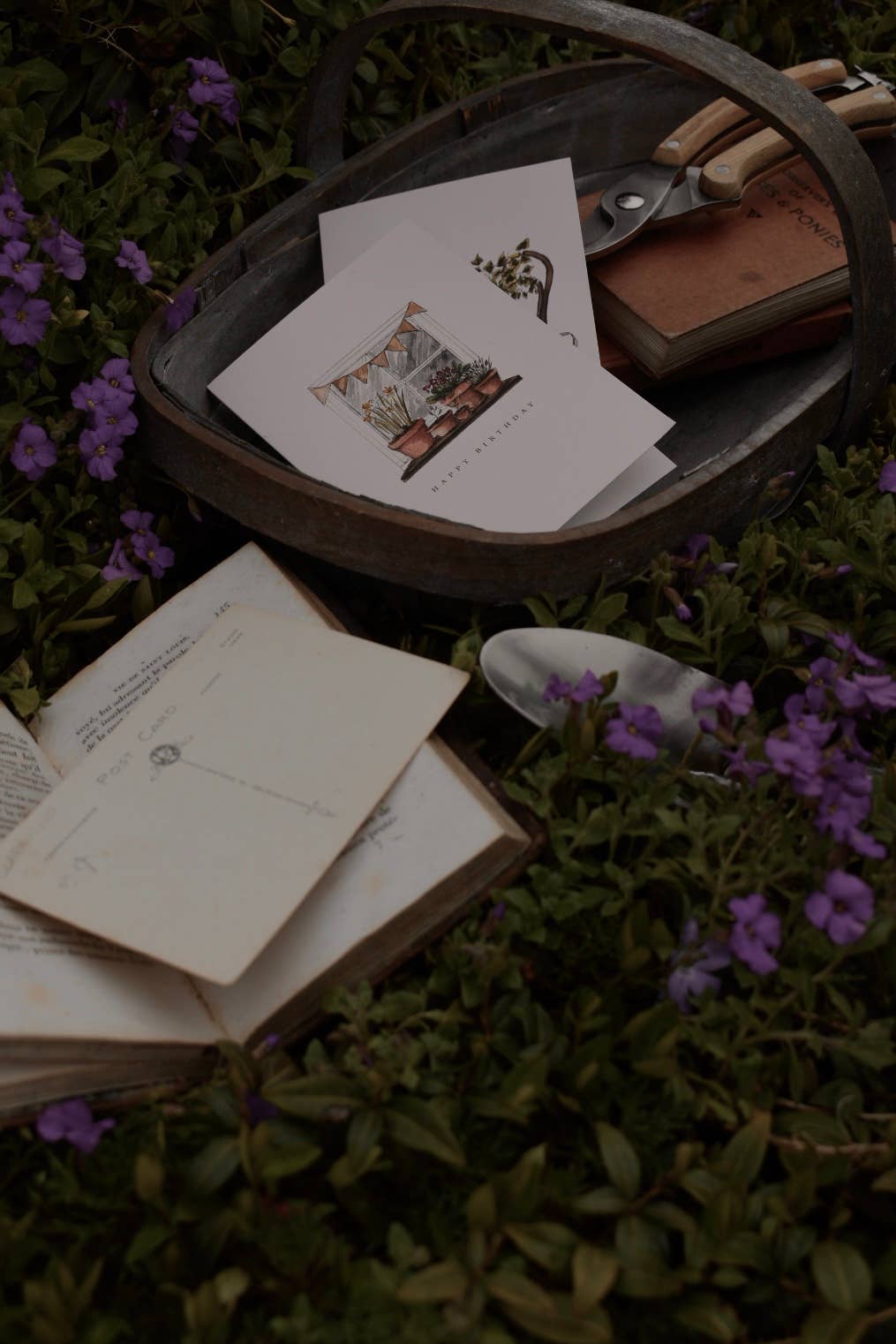 A Birthday Window Card (For Plant and Garden Lovers)