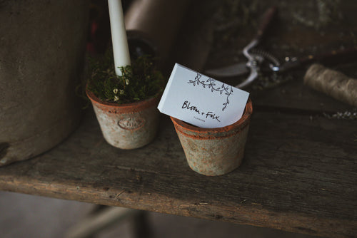 Small potted plant with a label on a wooden surface