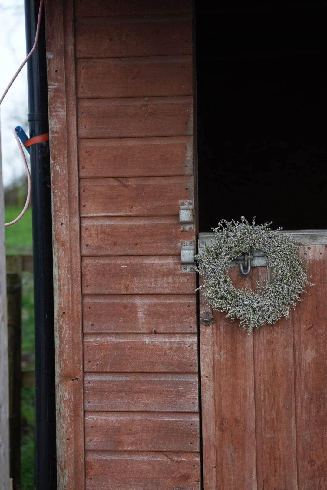Small Dried Statice Wreath