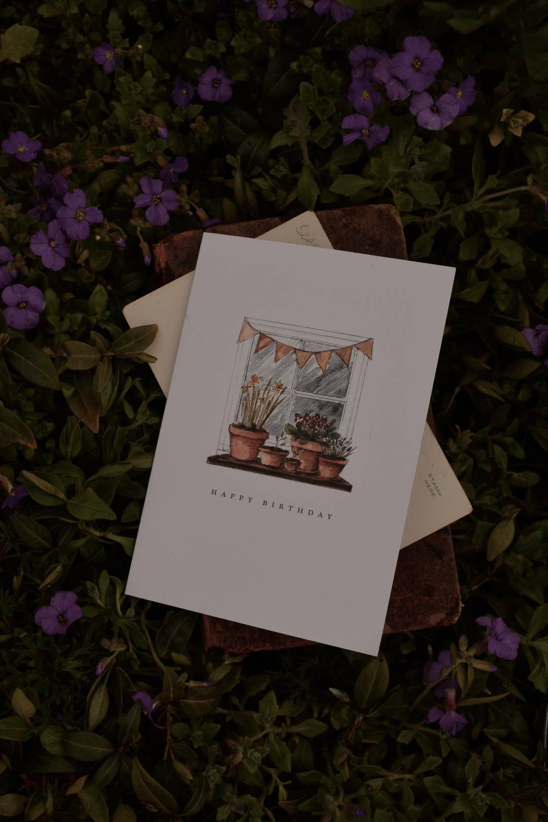 A Birthday Window Card (For Plant and Garden Lovers)