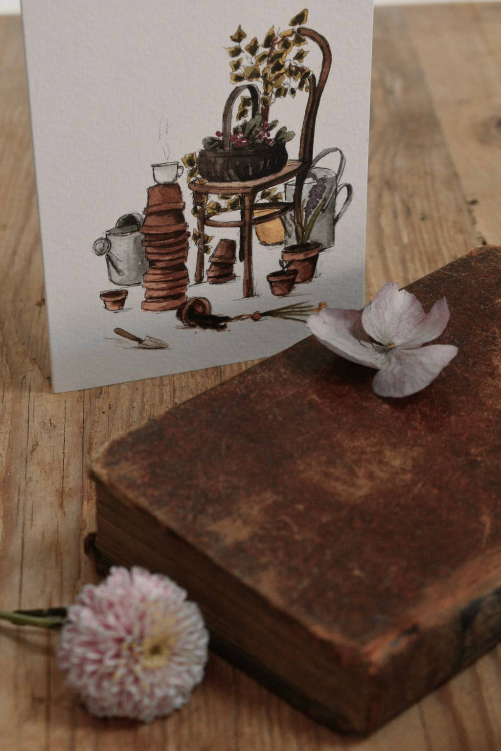 A Spring Garden Any Occasion Greeting Card